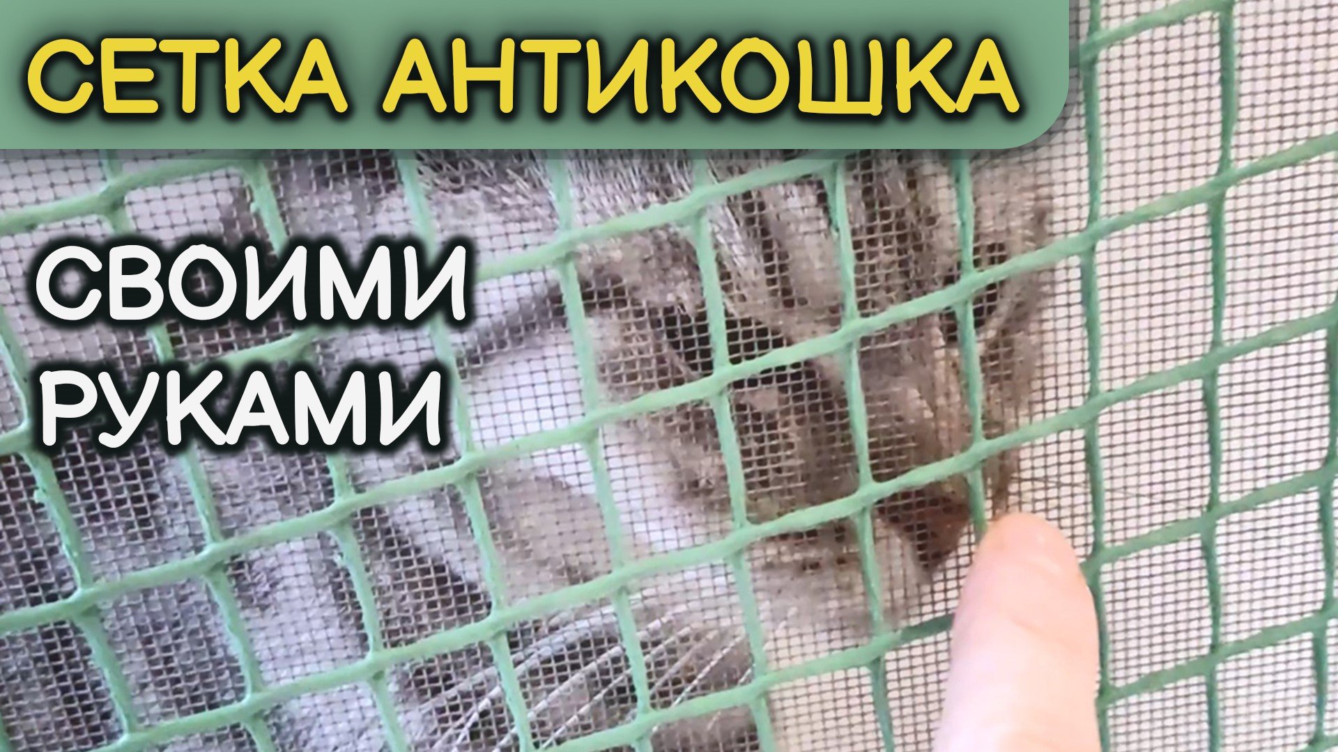 Сетка-антикошка своими руками.