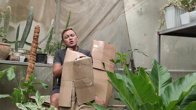 PLANT UNBOXING OF MY GIANT WISHLIST | AWATIN NIO KO!!!!! 😂😂😂 смотреть онлайн
