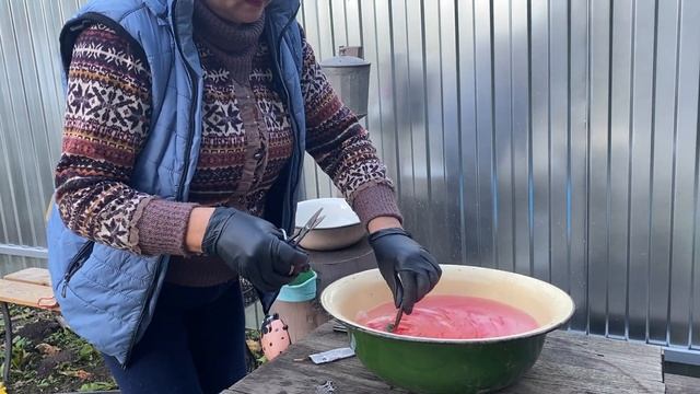 Обрезка роз перед укрытием на зиму, обрабатываю луковицы гладиолусов перед хранением. смотреть онлайн