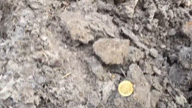 По дороге в старую деревню... смотреть онлайн