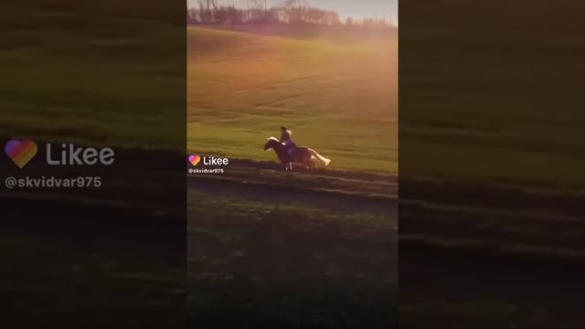 конный спорт/красота?/Лошади/// смотреть онлайн