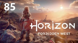 Horizon Forbidden West - Ночь огней