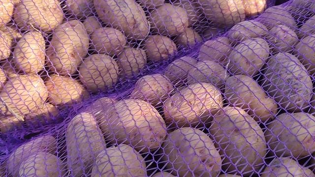 Ціни на ринку Великі Копані . смотреть онлайн