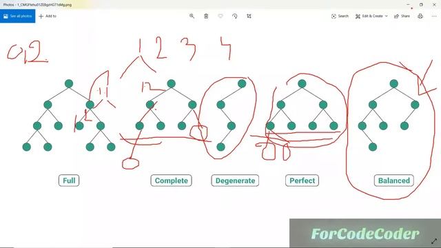 Introduction Of Binary Tree In Hindi | Data Structures and Algorithm Using Python #13 смотреть онлайн