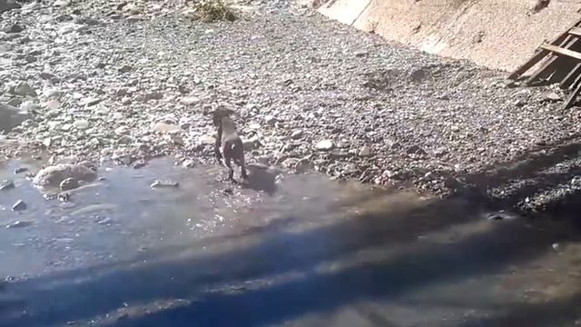 Знакомство с водой 2 смотреть онлайн