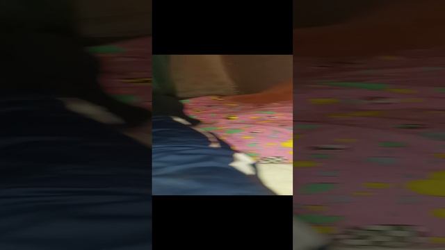 Милота спит)))