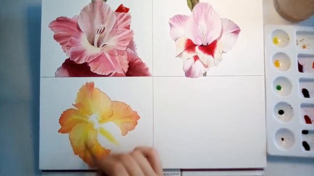 Gladiolus Flower Watercolor Painting Part 3 of 4 смотреть онлайн