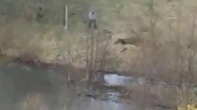 Квадро Житомир - 3 смотреть онлайн