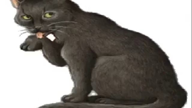 Песня про моего кота смотреть онлайн