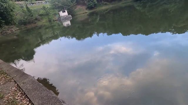 Календарь и прогноз клёва рыбы на сентябрь 2022 года. Жор и какая рыба будет клевать лучше всего смотреть онлайн