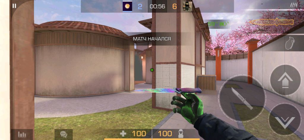 абобус абобус