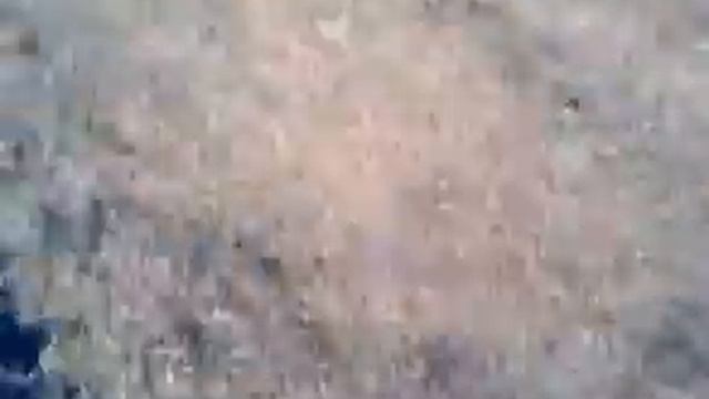 wing tiger rc plane on board cam.3gp смотреть онлайн