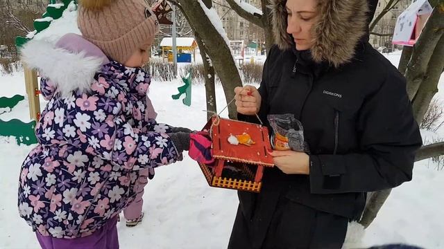 Экологическая акция "Покормите птиц зимой" смотреть онлайн