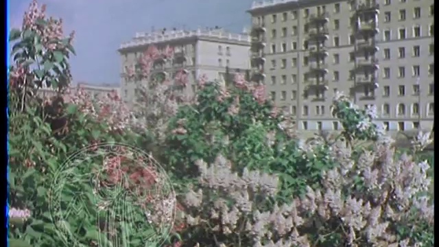 Москва в цвете