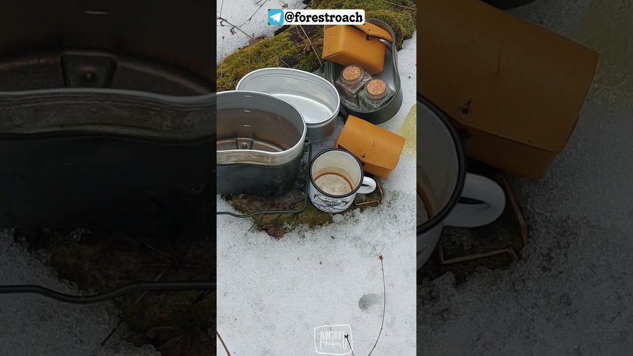 ВСЁ ТАКИ СОВЕТСКИЙ КОТЕЛОК ЭТО ЛЕГЕНДА#выживание #survival #бушкрафт #forest #нож #ковка #самоделки смотреть онлайн