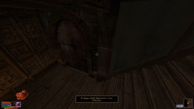 The Elder Scrolls III: Morrowind (ft. Tamriel Rebuilt) | Ep 2: Magic & Madness