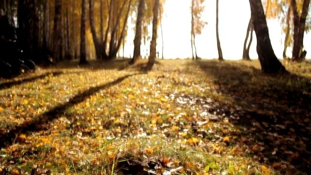 "Лукоморье": Сказка, которая рядом... смотреть онлайн