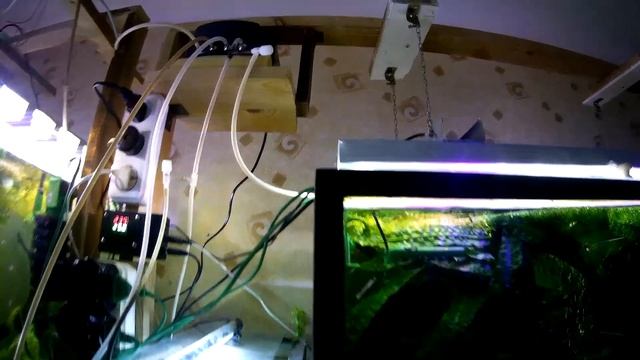 Просто зверюга! Установил четырёхканальный компрессор (Аква Хижина, выпуск 124) смотреть онлайн