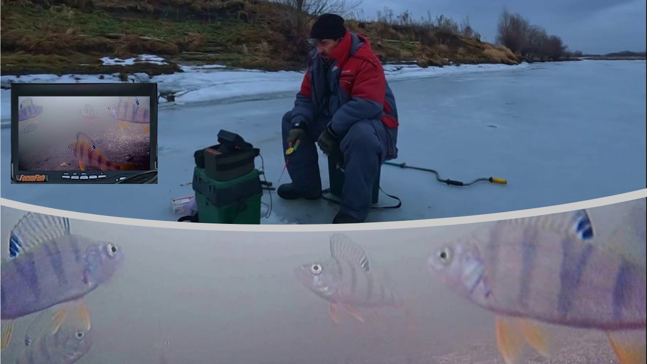 ОПАСНЫЙ ПЕРВЫЙ ЛЕД !!! ( Сузун ) 12 ноября 2023г. Рыбалка с подводной камерой. смотреть онлайн