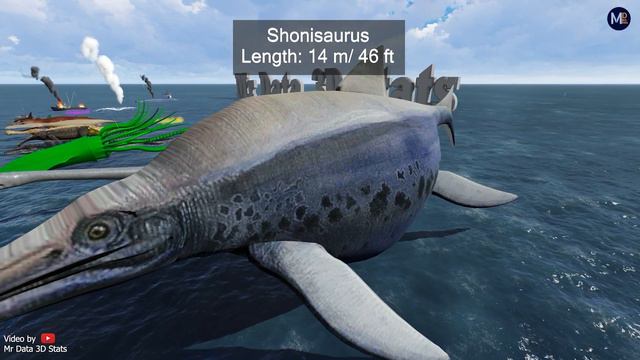 Sea Monster Size Comparison || 3D Animation 🐳🐬🦭🐟🐠🐡🦈🐙🐚🐋🦑