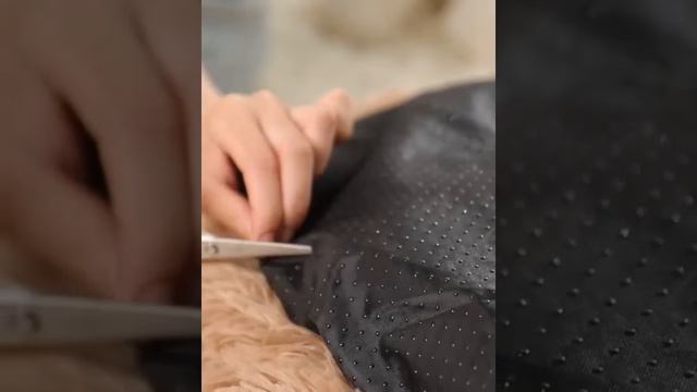 Мужская спортивная коллекция белья Sergio Dallini смотреть онлайн