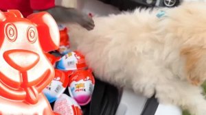 На день рождения Обезьянки пришёл Хаги Ваги и желейный пёс Стасик.