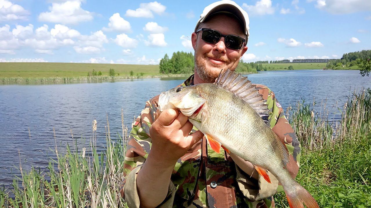 Хотели ЛИНЯ, поймали ОКУНЯ. Рыбалка с поплавочной удочкой на красивом пруду смотреть онлайн