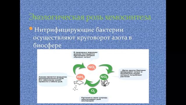 Хемосинтез. Кратко и понятно смотреть онлайн