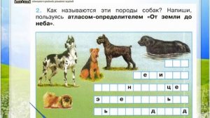 Задание 2 Про кошек и собак - Окружающий мир 2 класс (Плешаков А.А.) 1 часть