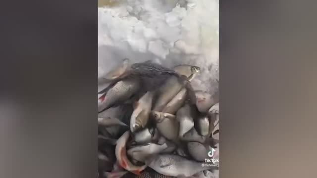 Крутая рыбалка, Комп мужа, Айфон или Конь смотреть онлайн