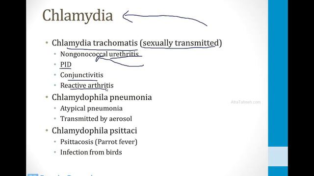 Infectious Diseases - 2. Bacteria - 5.Other Gram Negatives Atf