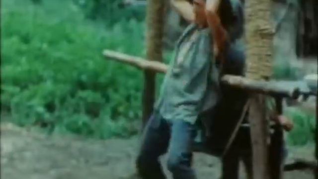 Wu Tang Collection - Shaolin Drunk Monkey смотреть онлайн