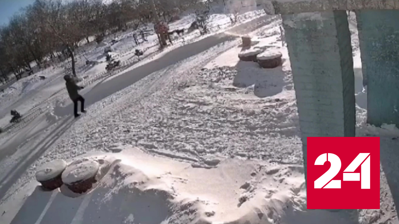 Стая бродячих собак напала на школьника в Омске - Россия 24 смотреть онлайн