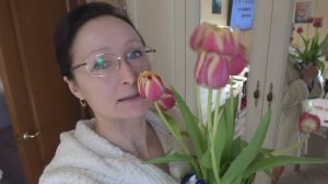 Домашнее видео. 12 марта 2024 года. Пикирую, пересаживаю петунию, тимьян, катарантус и другие... по