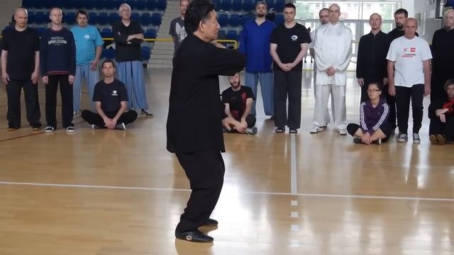 Tai Chi Forms 1 - Chen Xiao Wang смотреть онлайн