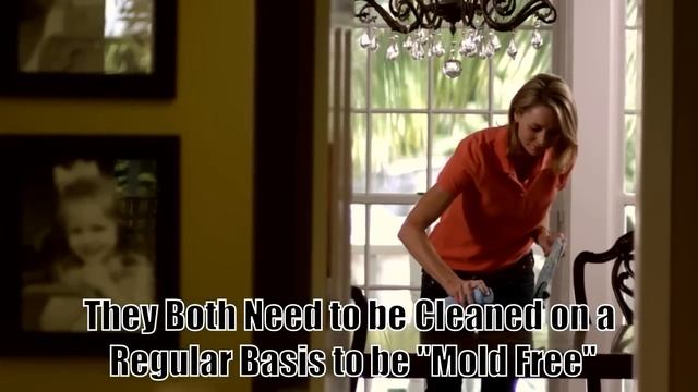 Dehumidifier and Humidifiers - Do They Grow Mold, Algae and Bacteria смотреть онлайн