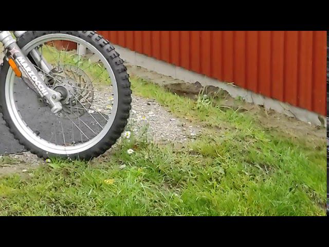 Дикий кролик в Швеции смотреть онлайн