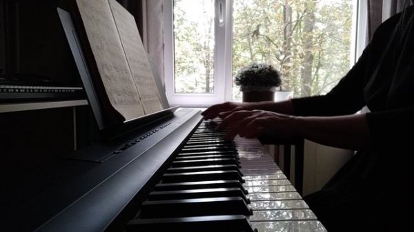 Фредерик Шопен, Вальс соч.69 #2, си минор