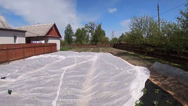 Відгук за спанбонд через 5 років використання/Білий спанбонд товщиною 19г/кв.м смотреть онлайн