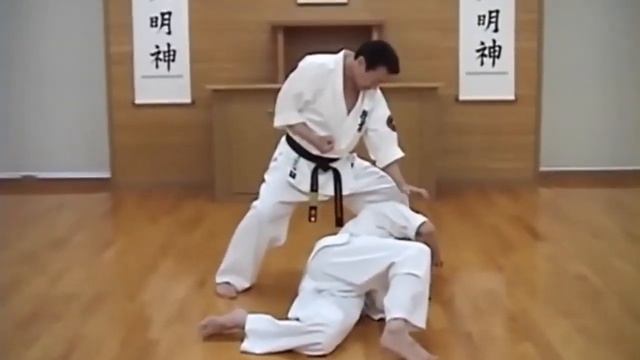 Demonstration Of Kyokushin Karate Techniques By Daigo Oishi