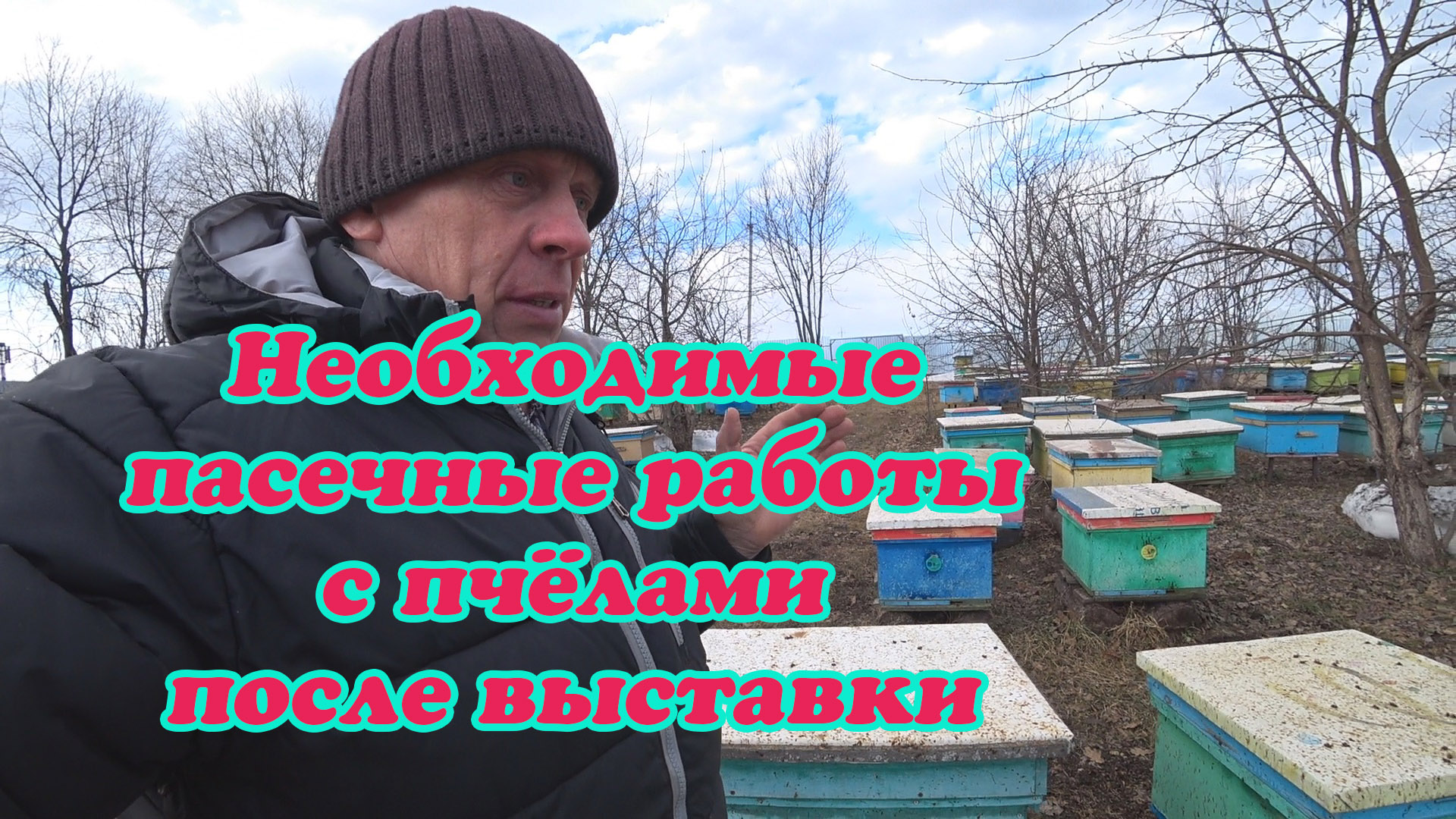 КОГДА ПРОИЗВОДИТЬ РАБОТЫ С ПЧЁЛАМИ РАННЕЙ ВЕСНОЙ, О ВЫВОДЕ МАТОК ВОСПИТАТЕЛЬНИЦЫ смотреть онлайн