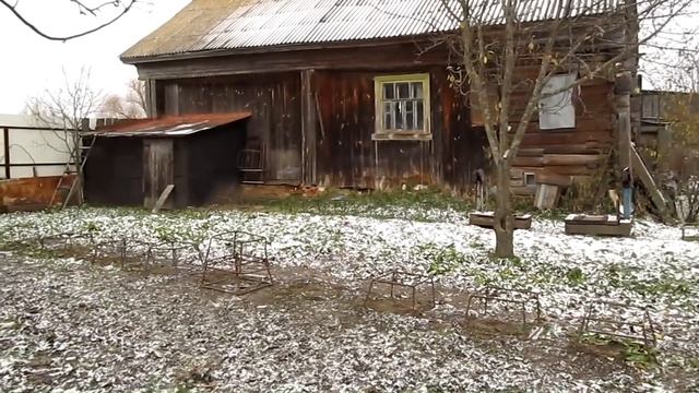 Последние пасечные работы в ноябре смотреть онлайн