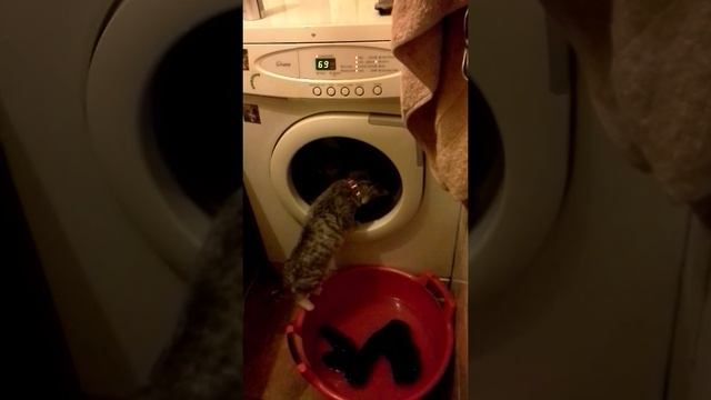 Хозяин, чё там? смотреть онлайн