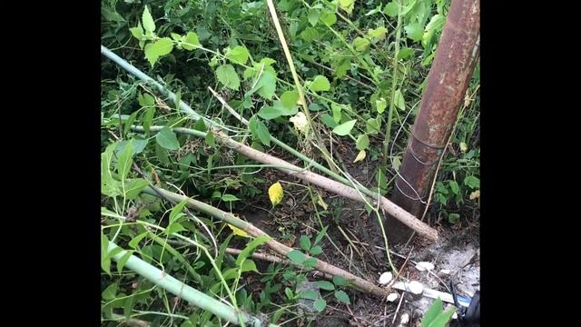 Знакомство с аккумуляторной сабельной пилой Dnipro-M DRS-200 смотреть онлайн