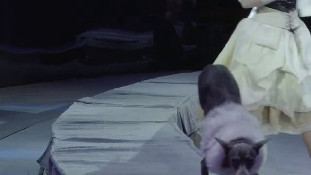 Дрессированные собаки и попугаи п р Натальи Борк