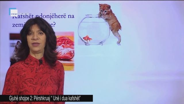 Gjuhë shqipe 2 - Përshkruaj "Unë i dua kafshët" смотреть онлайн