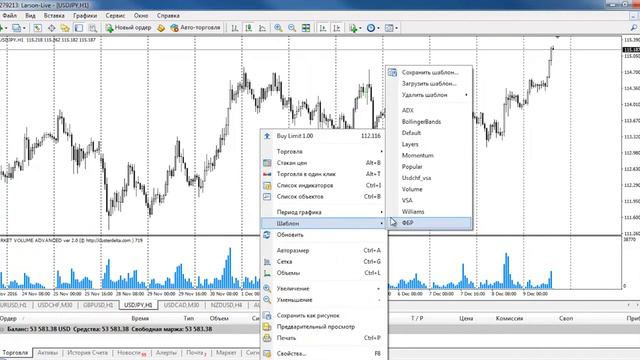 Создание профилей в MetaTrader 4