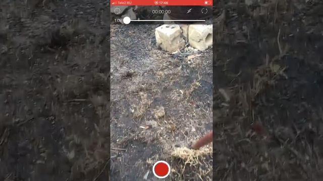 Как поставить паузу при записи на всех iPhone ? смотреть онлайн