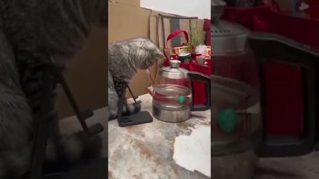 Физик-экспериментатор смотреть онлайн