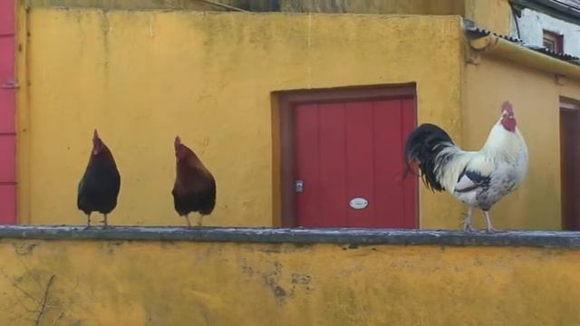 Aran Islands Ireland 2007 смотреть онлайн